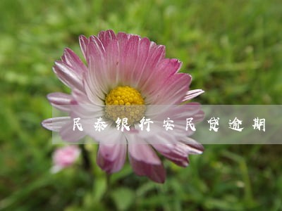 民泰银行安民贷逾期 民泰银行安民贷逾期