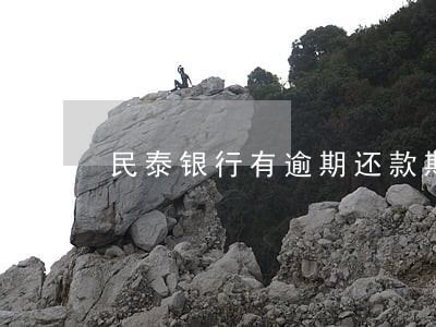 民泰银行有逾期还款期限吗 民泰银行有逾期还款期限吗