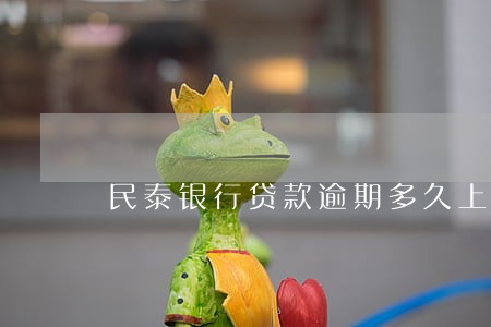 民泰银行贷款逾期多久上征信 民泰银行贷款逾期多久上征信