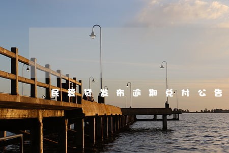 民爱贷发布逾期兑付公告 民爱贷发布逾期兑付公告