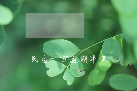 民生5万逾期半年 民生5万逾期半年