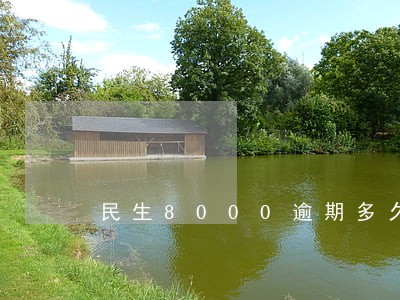 民生8000逾期多久会上门 民生8000逾期多久会上门