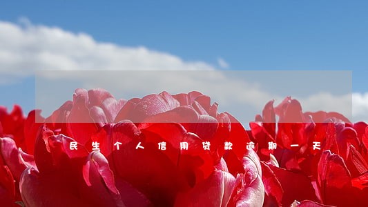 民生个人信用贷款逾期一天 民生个人信用贷款逾期一天