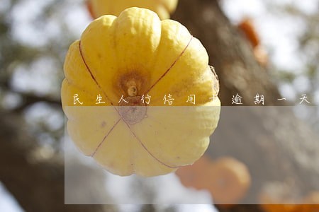 民生人行信用卡逾期一天 民生人行信用卡逾期一天
