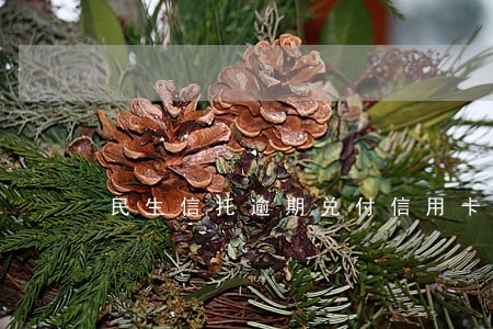 民生信托逾期兑付信用卡 民生信托逾期兑付信用卡