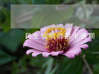 民生信用信用卡逾期 民生信用信用卡逾期
