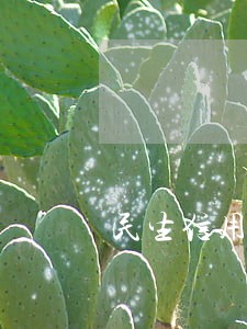 民生信用卡100元逾期了怎么办 民生信用卡100元逾期了怎么办