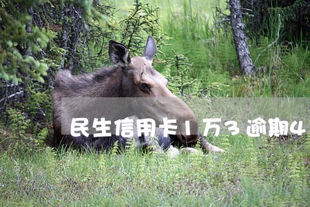 民生信用卡1万3逾期4个月 民生信用卡1万3逾期4个月