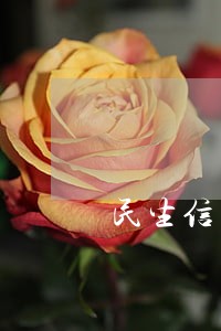 民生信用卡20万15天逾期 民生信用卡20万15天逾期