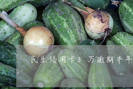 民生信用卡3万逾期半年 民生信用卡3万逾期半年