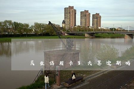 民生信用卡3天算逾期吗
