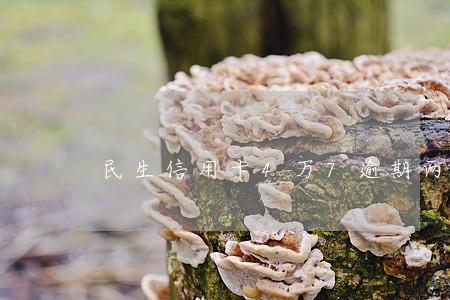 民生信用卡4万7逾期两次停卡