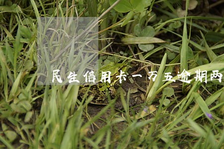 民生信用卡一万五逾期两年 民生信用卡一万五逾期两年