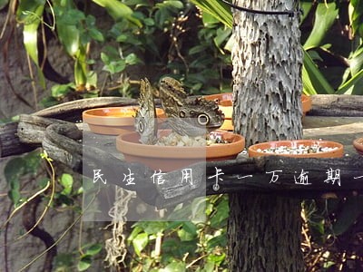 民生信用卡一万逾期一年 民生信用卡一万逾期一年