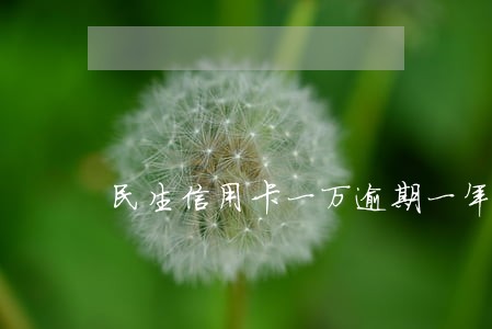 民生信用卡一万逾期一年了 民生信用卡一万逾期一年了