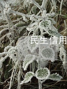 民生信用卡一万逾期一年多 民生信用卡一万逾期一年多