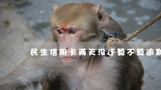 民生信用卡两天没还算不算逾期 民生信用卡两天没还算不算逾期