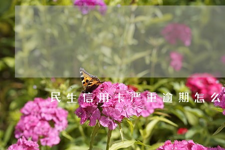 民生信用卡严重逾期怎么办 民生信用卡严重逾期怎么办