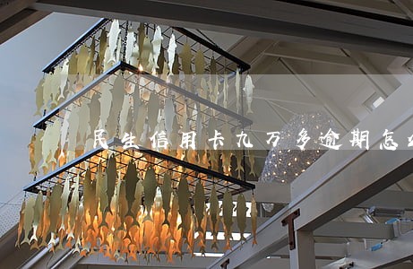 民生信用卡九万多逾期怎么办 民生信用卡九万多逾期怎么办