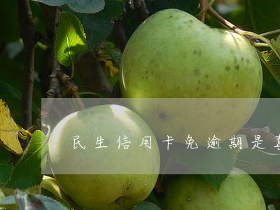 民生信用卡免逾期是真的吗