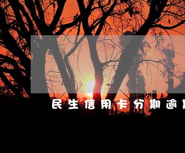 民生信用卡分期逾期两年 民生信用卡分期逾期两年