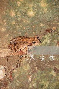 民生信用卡卡逾期宽限