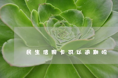 民生信用卡可以逾期吗 民生信用卡可以逾期吗