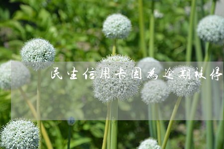 民生信用卡因为逾期被停用了