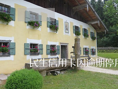 民生信用卡因逾期停用卡片怎么办