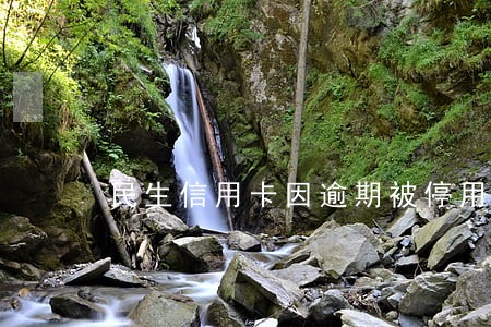 民生信用卡因逾期被停用