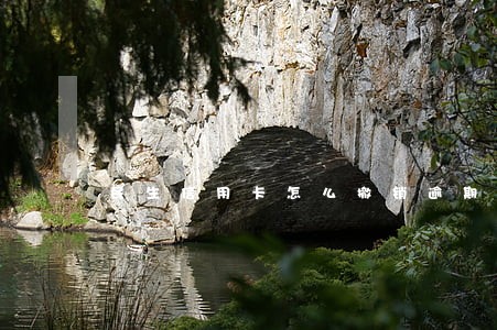 民生信用卡怎么撤销逾期利息
