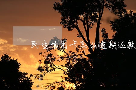 民生信用卡怎么逾期还款 民生信用卡怎么逾期还款