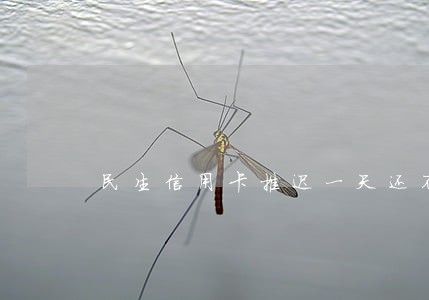 民生信用卡推迟一天还不逾期吧