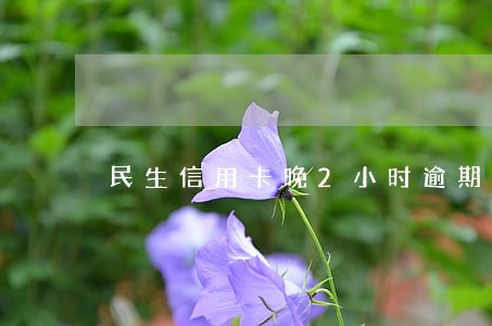 民生信用卡晚2小时逾期吗