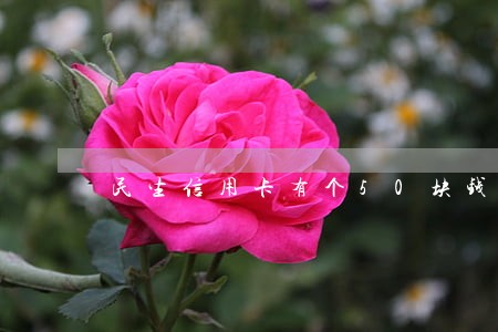 民生信用卡有个50块钱逾期