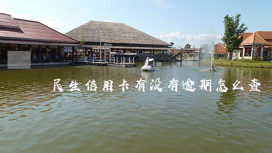 民生信用卡有没有逾期怎么查 民生信用卡有没有逾期怎么查