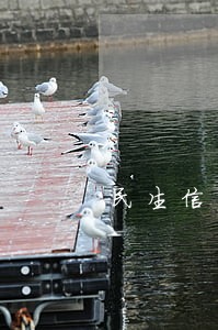 民生信用卡有过逾期会批吗