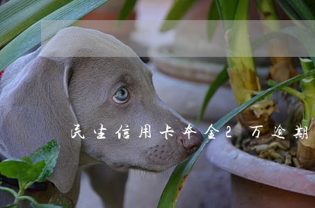 民生信用卡本金2万逾期还10万