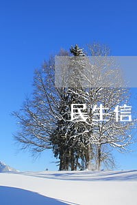 民生信用卡本金5万逾期了半年