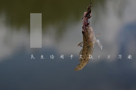 民生信用卡欠款10万逾期暂时还不上 民生信用卡欠款10万逾期暂时还不上