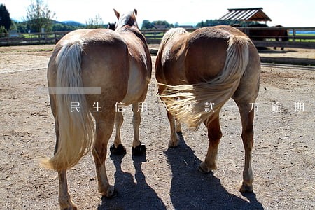 民生信用卡欠款一万逾期五个月 民生信用卡欠款一万逾期五个月