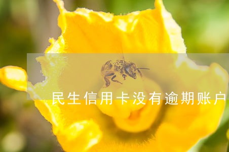 民生信用卡没有逾期账户异常