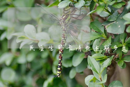 民生信用卡消费逾期多久上征信 民生信用卡消费逾期多久上征信