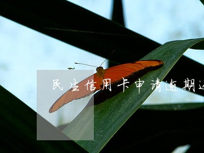 民生信用卡申请逾期还款
