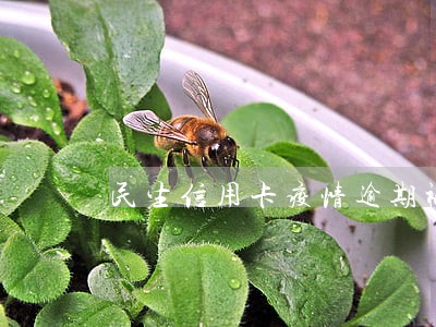 民生信用卡疫情逾期被停 民生信用卡疫情逾期被停