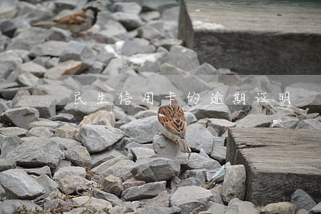 民生信用卡的逾期证明 民生信用卡的逾期证明