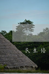 民生信用卡美元账户逾期 民生信用卡美元账户逾期