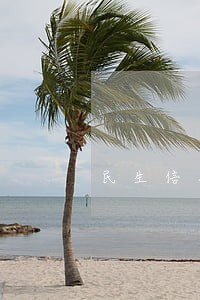 民生信用卡美金逾期已还 民生信用卡美金逾期已还