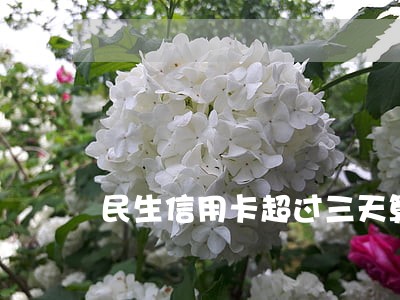 民生信用卡超过三天算逾期吗 民生信用卡超过三天算逾期吗