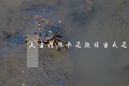 民生信用卡还款日当天还算逾期吗